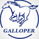 All models of Galloper