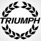 All models of Triumph